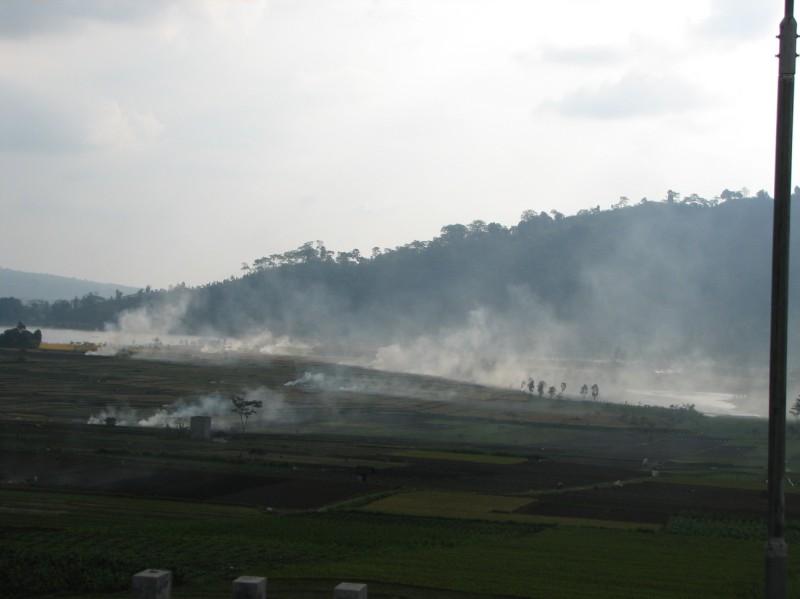 2007 07 13 BALI 057.jpg